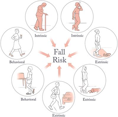 Aberrant decision-making as a risk factor for falls in aging
